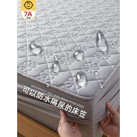 2025防水隔尿床包單件夾棉7A抗菌床墊保護罩四季通用床單床罩床套