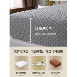 冬季牛奶絨床包單件床罩天鵞絨純色豆豆絨珊瑚絨蓆夢思床墊保護套