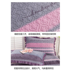 加厚牛奶絨夾棉床單床蓋單件冬季加絨法蘭珊瑚絨榻榻米床墊床褥子