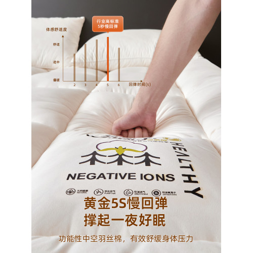 加厚床墊軟墊褥子家用臥室租房專用學生宿捨單人墊被床褥墊榻榻米 加厚床墊軟墊褥子家用臥室租房專用學生宿捨單人墊被床褥墊榻榻米