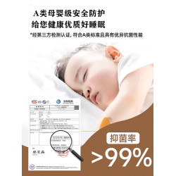 出口歐美100%純棉夾棉床包單件全棉抗菌防蟎蟲蓆夢思保護罩床墊套