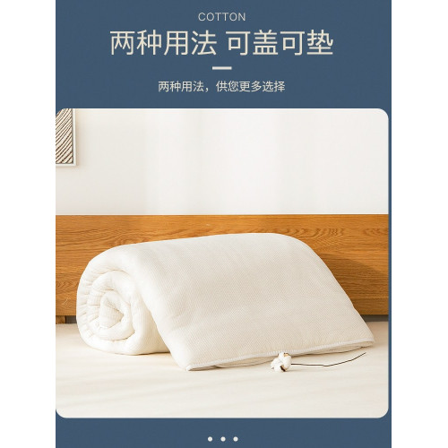 被子親膚床墊絮墊宿捨專用春秋被墊被床褥子雙人家用加厚舒適鋪墊 被子親膚床墊絮墊宿捨專用春秋被墊被床褥子雙人家用加厚舒適鋪墊