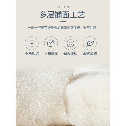 被子親膚床墊絮墊宿捨專用春秋被墊被床褥子雙人家用加厚舒適鋪墊 被子親膚床墊絮墊宿捨專用春秋被墊被床褥子雙人家用加厚舒適鋪墊
