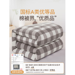 新疆一級長絨棉被純棉花被子被芯冬被棉絮床墊被褥子冬季加厚保暖