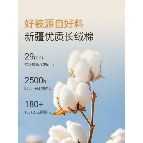 新疆一級長絨棉被純棉花被子被芯冬被棉絮床墊被褥子冬季加厚保暖