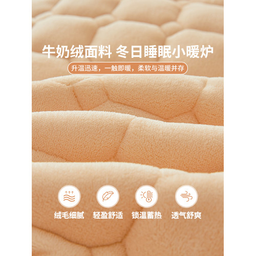 2026新款牛奶絨床蓋單件冬季加絨榻榻米床單人三件套防滑床墊褥子