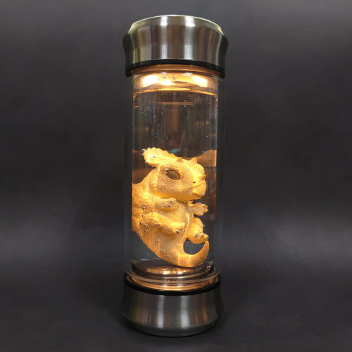 恐龍胚胎罐 發光罐擺件七彩燈胚胎罐 可用於家庭裝飾電影道具 恐龍胚胎罐 發光罐擺件七彩燈胚胎罐 可用於家庭裝飾電影道具