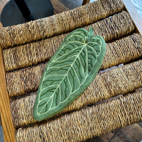 植物葉子加厚擦手巾可愛創意熱植花燭衛生間浴室掛式毛巾廚房手帕