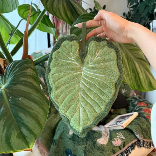 植物葉子熱植龜背竹掛式擦手巾廚房衛生間浴室可愛加厚小禮品毛巾