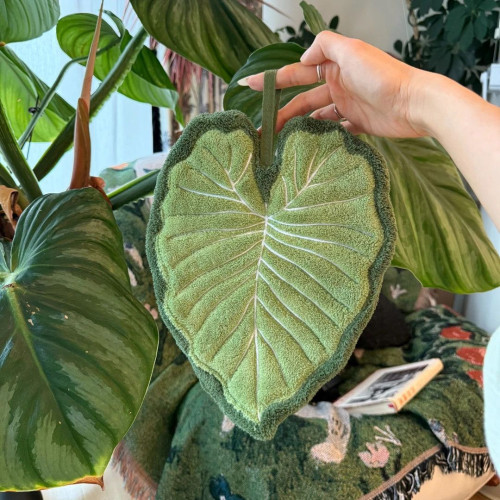 植物葉子熱植龜背竹掛式擦手巾廚房衛生間浴室可愛加厚小禮品毛巾