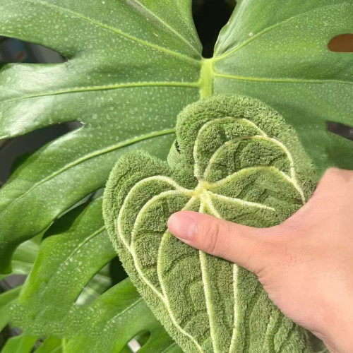 植物葉子擦手巾掛式廚房衛生間浴室可攜式毛巾抹布吸水清潔手帕