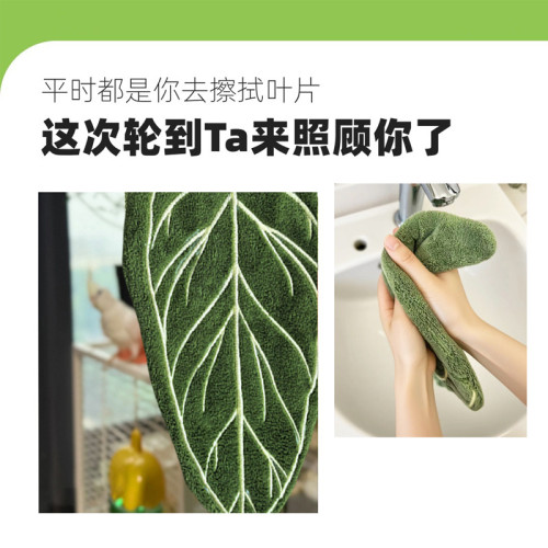 植物葉子擦手巾熱植花燭手帕掛式廚房衛生間浴室可愛加厚創意毛巾
