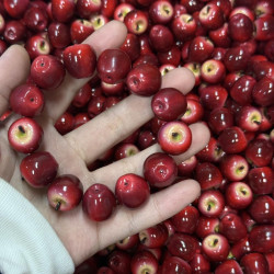 平安夜新年創意紅紅火火蘋果手串首飾水果高級感小衆生日禮物手鏈