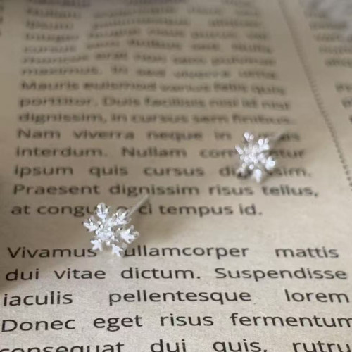 雪花耳釘女925銀針養耳洞ins精緻秋冬耳骨耳環小衆設計高級感耳飾