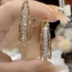 2025年新款潮輕奢高級感金屬圈圈耳環女925銀針超閃水晶耳飾品