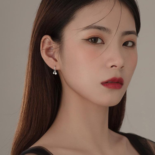 一唸 925純銀閃鑽流蘇耳環女2025年新款小衆高級感時尚耳飾品