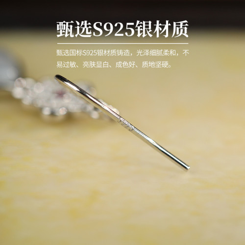 有錢花時尚玉髓2025爆款耳環925銀小花滿鋯鑲嵌小巧禮物