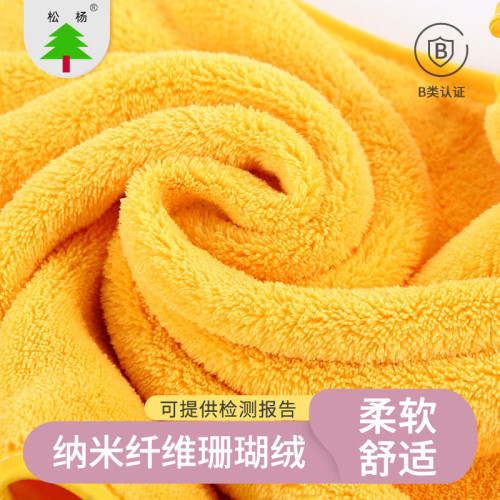 高陽兩件套毛巾成人速乾洗臉巾珊瑚絨沙灘巾浴巾吸水親膚