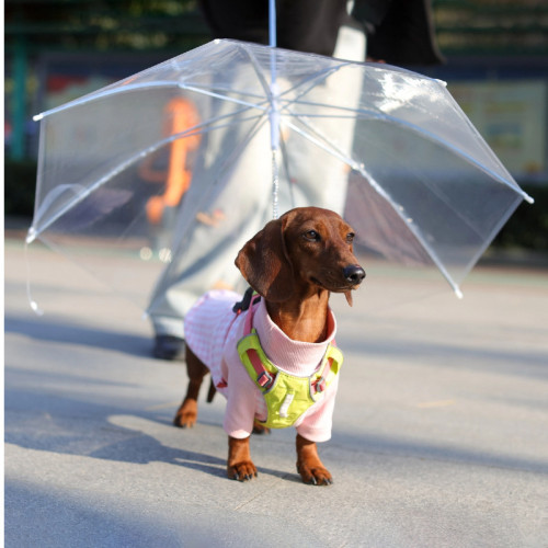 寵物透明雨傘中小型犬雨衣牽引狗鏈遛狗雨傘