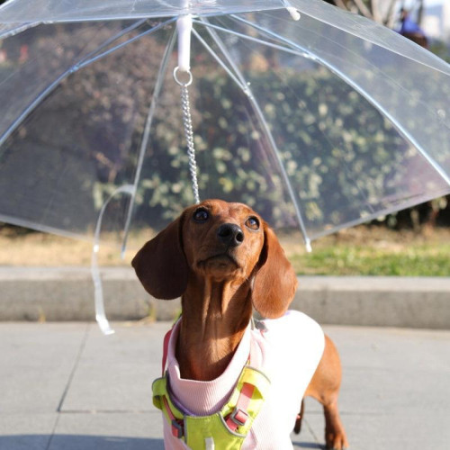 寵物透明雨傘中小型犬雨衣牽引狗鏈遛狗雨傘