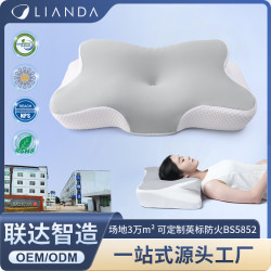 新品記憶枕頭慢廻彈冰絲面料人體工學仰睡側睡睡眠記憶棉枕頭