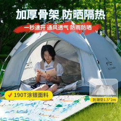 2025新款高級2-3人露營帳篷可攜式折疊野炊郊遊公園速開戶外草坪