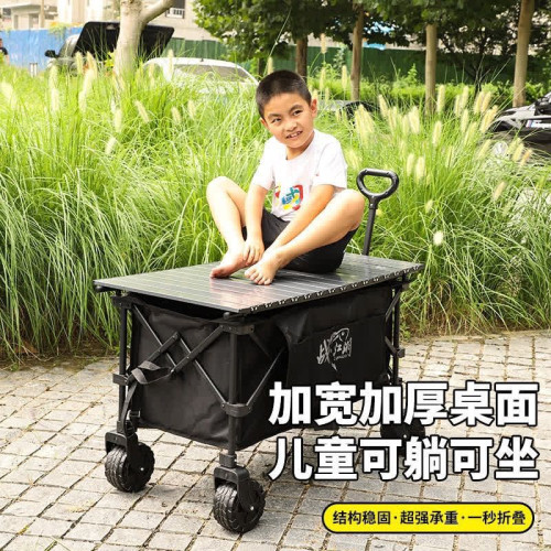 戰江湖黑坑戶外釣魚上岸拉桿專用拉車露營折疊可攜式戰車越野全套