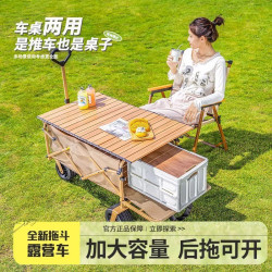 戶外露營車移動多功能擺地攤可攜式家用可升降折疊野餐擺攤小推車