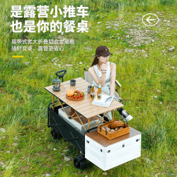 大容量戶外露營小推車擺攤折疊小推車戶外擺攤車折疊車快遞車拉車