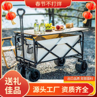 戶外露營車可折疊手推車野外野營野餐營地車拉桿小推車擺攤小拖車