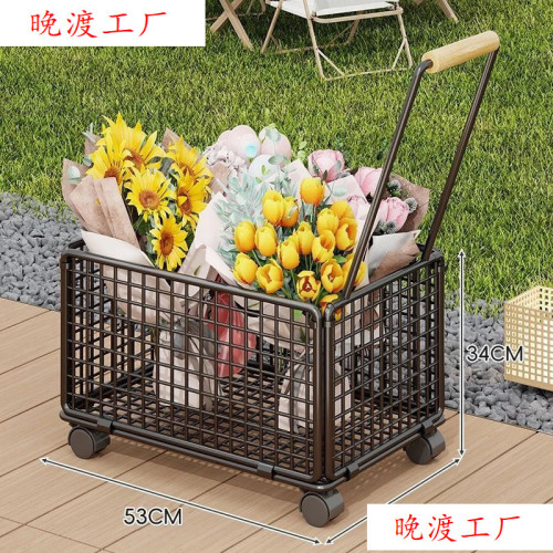 戶外露營推車擺攤小推車可折疊野餐營地車大越野小拉車