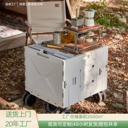 新款塑膠露營箱帶輪帶拉桿可攜式收納箱大容量加厚多用途買菜箱子