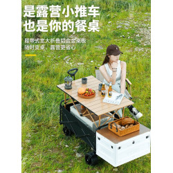 新款寬輪戶外露營地擺攤快遞小推野餐車可攜式可折疊家用霤娃釣魚
