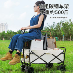 戶外露營推車擺攤萬能小推車可折疊野餐營地車野營超大越野小拉車