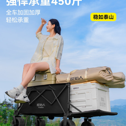 露營推車戶外營地拖車折疊旅行兒童可躺野餐野營聚攏名