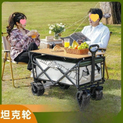 戶外露營地擺攤小推野餐車可攜式可折疊家用霤娃釣魚車