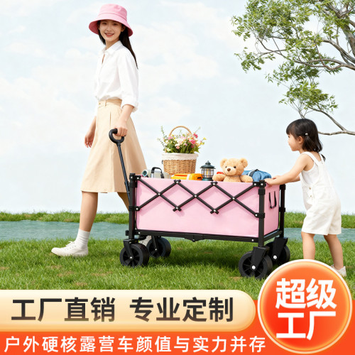 新款戶外露營車手推車折疊專用可攜式野餐擺攤小推車擺攤車