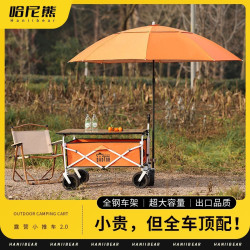 露營推車可折疊戶外手推野餐車可攜式營地拖車拉桿多功能野營擺攤車