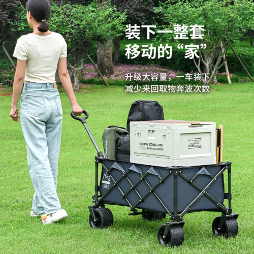 小拉車取快遞小推車買菜拉貨購物手推車兒童露營車營地拖車