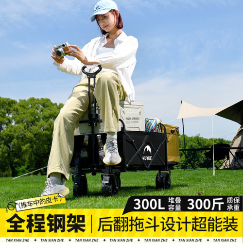 露營推車可折疊戶外手推野餐車可攜式營地拖車拉桿多功能野營擺攤車