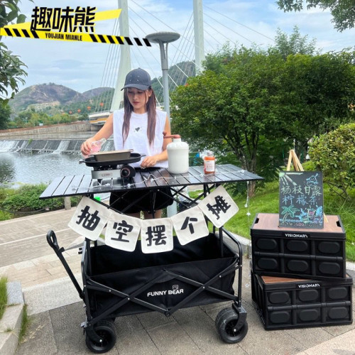 網紅折疊擺攤車露營推車擺地攤小推車可升降折疊桌子戶外野餐車鐵