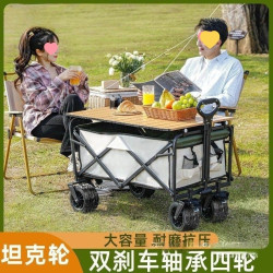 2025坦克輪戶外露營地擺攤小推野餐車可攜式可折疊家用霤娃釣魚車