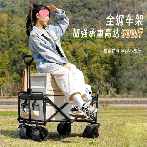 2025坦克輪戶外露營地擺攤小推野餐車可攜式可折疊家用霤娃釣魚車