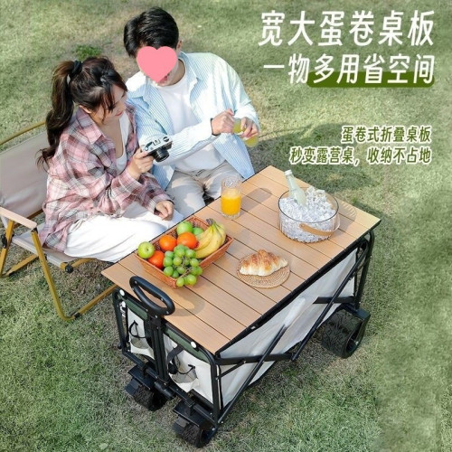 2025坦克輪戶外露營地擺攤小推野餐車可攜式可折疊家用霤娃釣魚車