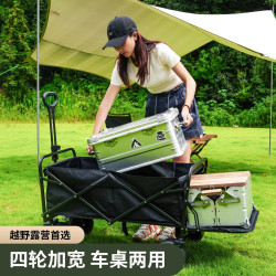 家用露營推車戶外折疊手推兒童可躺野餐營地野營擺攤小拖車輕便車
