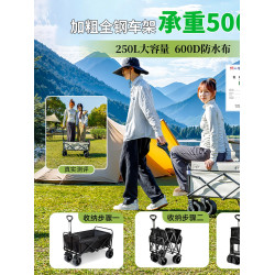 戶外營地推車折疊野營車旅行營地拖車大號手推車兒童可躺可攜式小車