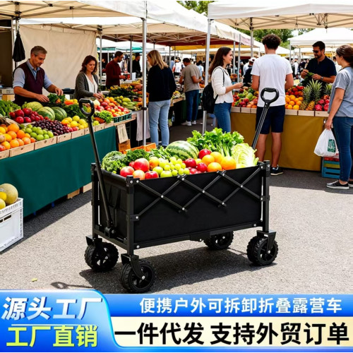 手推車折疊式多功能沙灘露營車戶外寫生用車手拉車野營