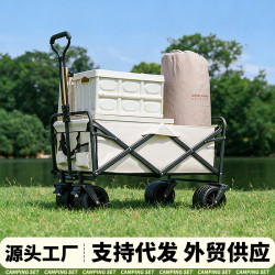 露營車戶外小推車可攜式大號夜市地攤擺攤車多功能擺攤專用手推車
