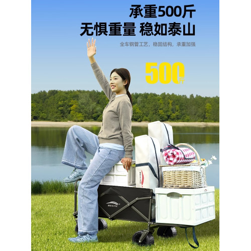 露營車拖鬥推車戶外旅行營地車後開門手推車野餐拉快遞折疊小拖車