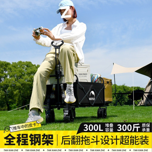 露營推車可折疊戶外手推野餐車可攜式營地拖車拉桿多功能野營擺攤車